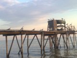 ���� ����� � ����������, ������� ����-��������� MARINA