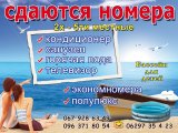 ���� ����������/��������� ������� ���������