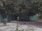 ���� ����� �� ���������� �������, ������� ���� -���������  ��� 