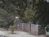 ���� ����� �� ���������� �������, ������� ���� -���������  ��� 