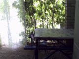 ���� ����� �� ���������� �������, ������� ����-��������� ������ ����