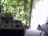 ���� ����� �� ���������� �������, ������� ����-��������� ������ ����
