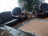 ���� ����������/��������� ��� �����