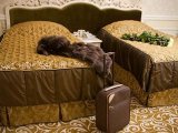 ���� ����� � ���������, ����� Grand Royal Hotel 