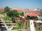 ���� ����� � �������, ��������� �����