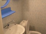 ���� ����� � ���������, ��������
