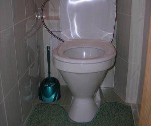 ���� ����� � �����������, ���� ��������
