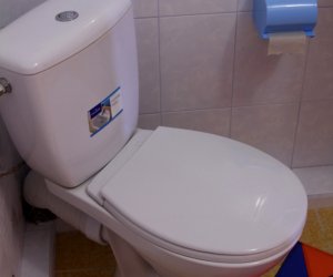 ���� ����� � ���������, ����������� ������ ������ �������