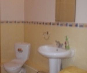 ���� ����������/��������� ����� ���� ���� - ���������